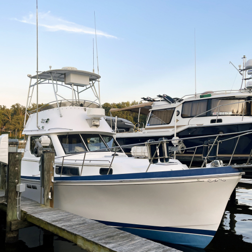 chesapeak-nautical-charter